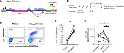 The Effect of JAK1/2 Inhibitors on HIV Reservoir Using Primary Lymphoid Cell Model of HIV Latency